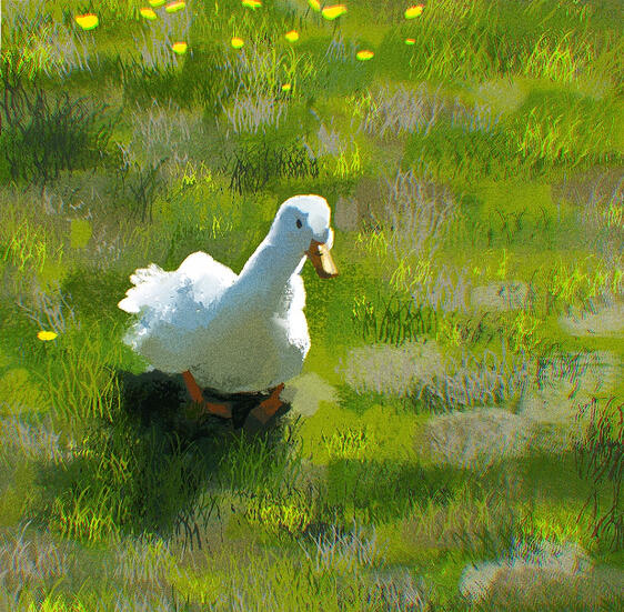 DUCK DUCK