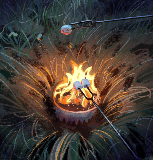 Campfire N&#39; Smores